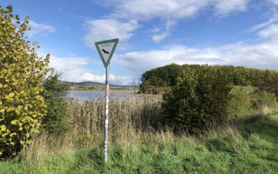 Wanderung 11.10.2026